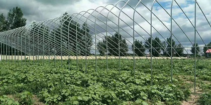 农产品的好伙伴—黑龙江温室大棚